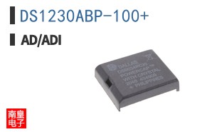 DS1230ABP-100+