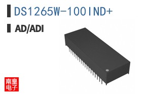 DS1265W-100IND