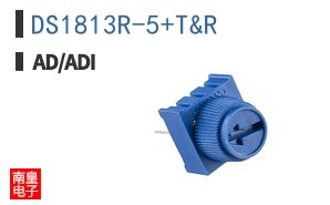 DS1813R-5+T&R