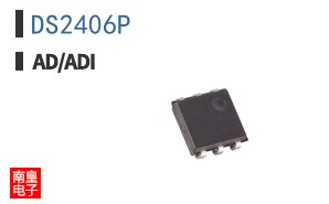 DS2406P+